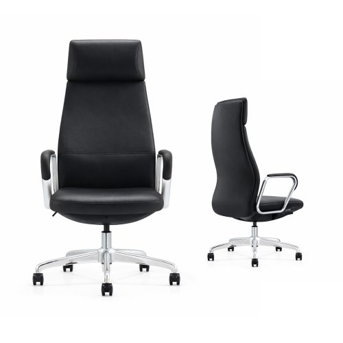 Axnova BIFMA passed Executive Chair with high quality EPU
