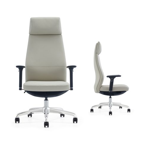 BIFMA executive chair with lift armrests